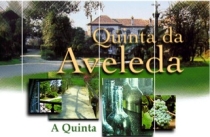 quinta-da-aveleda-210.jpg