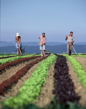 agricultura