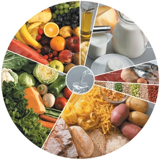 nutricao