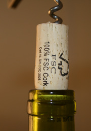 cortica_fsc
