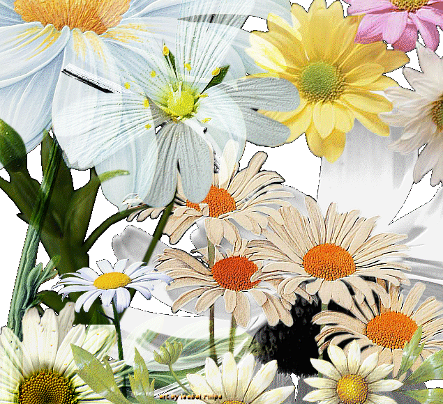flores
