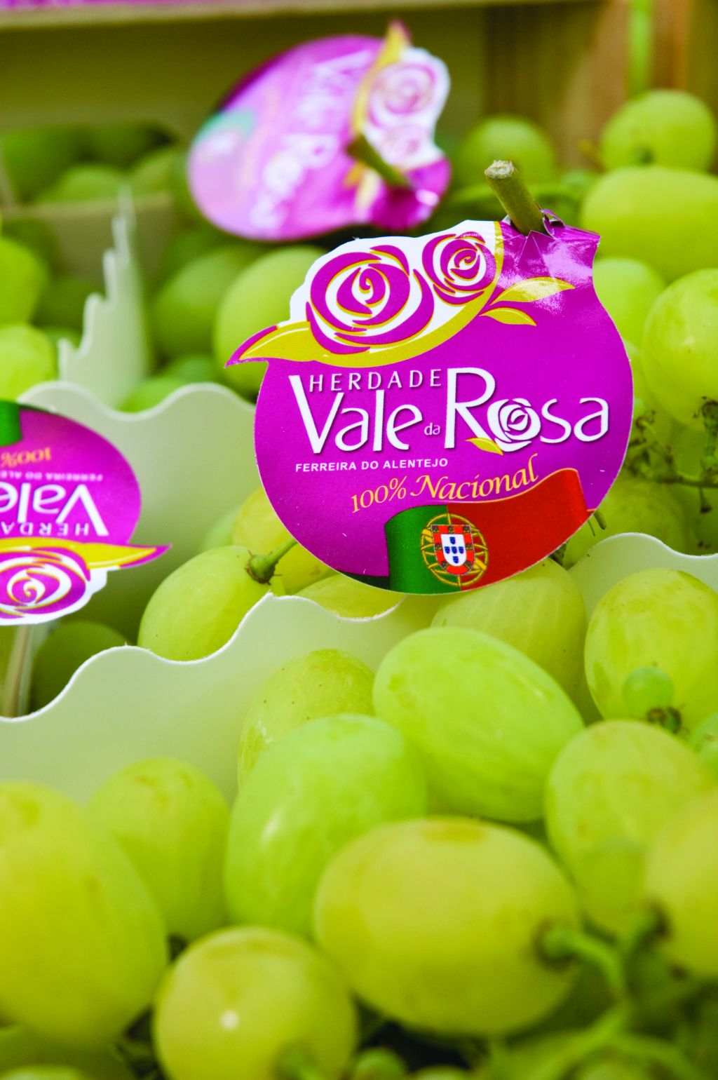 vale_da_rosa