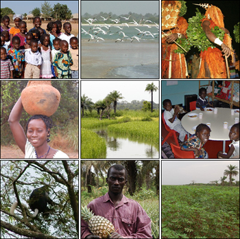 guine-bissau