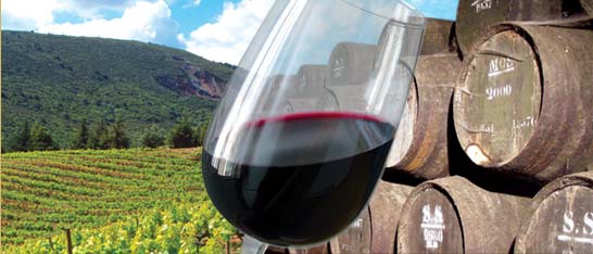 vinhos_setubal