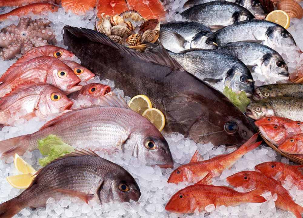 peixe do mar