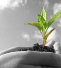 inovacao_agricultura