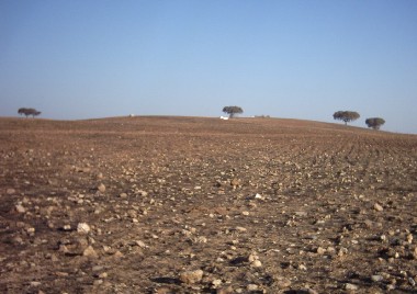seca_agricultura