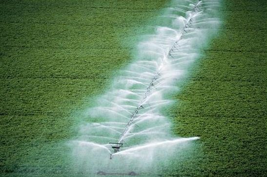 seca_agricultura
