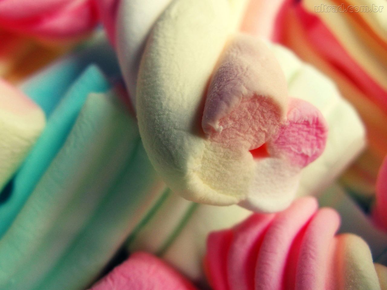 Marshmallow