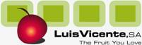 luis vicente