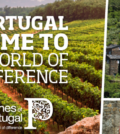 wine of Portugal