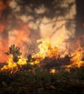 incêndio