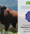 Makro_PradoAtlântico_Açores