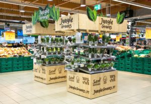 Jungle Greens Auchan Sintra (1)