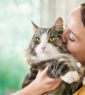 purina_catfood