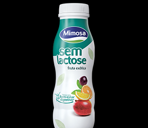 iogurte-sem-lactose-beber-frutaexotica