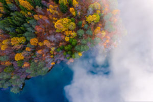 Foggy morning and autumn colors