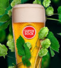 Super Bock Casa da Cerveja convida consumidores para apanha do lúpulo