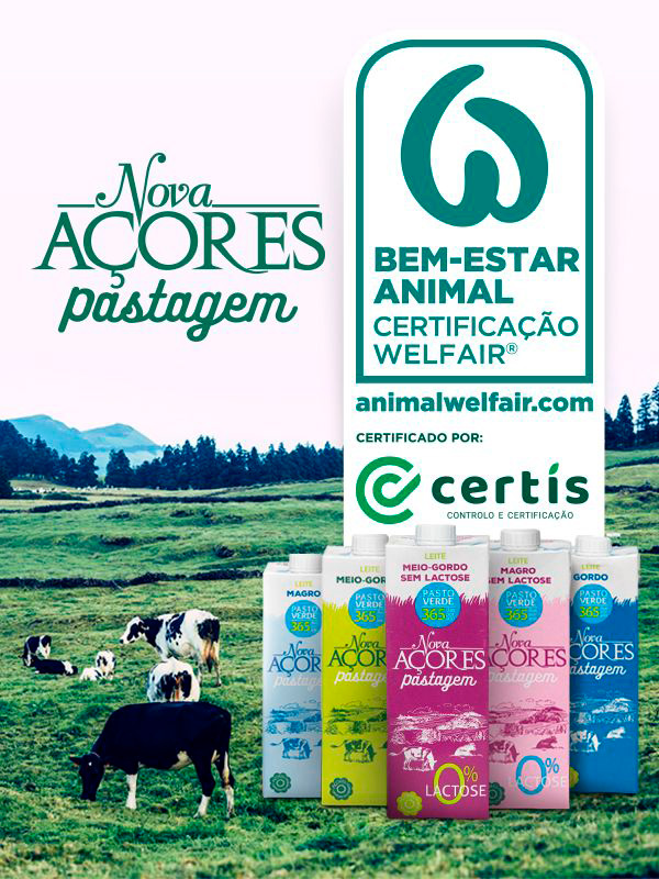 Marca NOVA AÇORES PASTAGEM na vanguarda ao nível do setor dos lacticínios nos Açores para a certificação de Bem-estar Animal Welfair