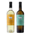 vinho
