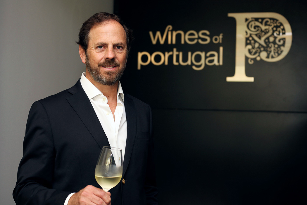 Frederico Falcão, Presidente da ViniPortugal