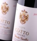 Quinta do Côtto e Paço de Teixeiró: duas marcas icónicas da WineStone passam a ser distribuídas pela José Maria da Fonseca Distribuição