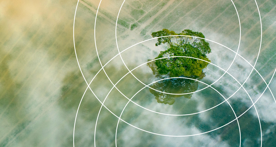 Sustentabilidade