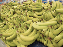Acordo para reforma do regime aplicável às bananas